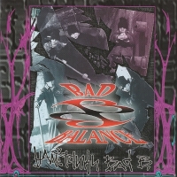 Налетчики Bad B. (1994 год)